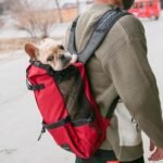 Dog Carrier Bag – Double Shoulder Portable Travel Backpack for Dogs & Cats - Image 9