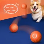 Rubber Dog Ball – Bite-Resistant Chew & Training Toy for Puppies and Dogs