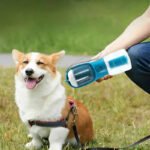 Portable 3-in-1 dog water bottle with built-in filtration system