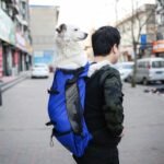 Dog Carrier Bag – Double Shoulder Portable Travel Backpack for Dogs & Cats - Image 8